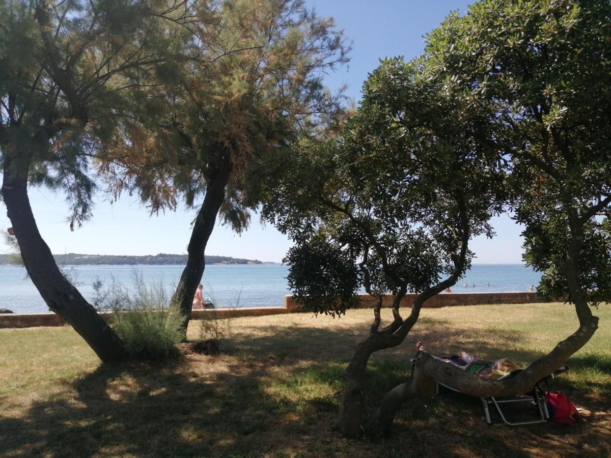 Apartment Vera, 80 M From The Sea Novigrad Istria Exterior foto