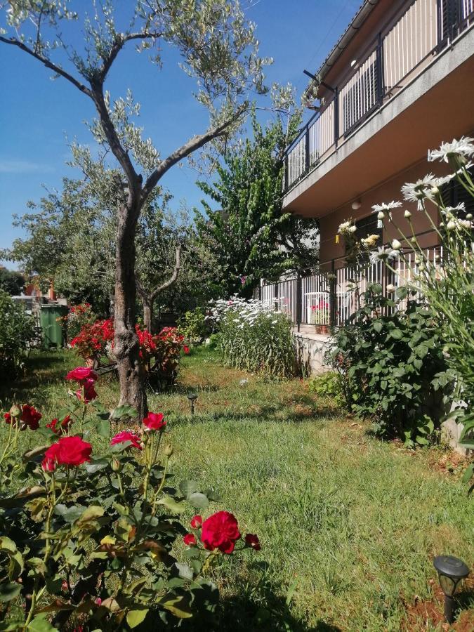 Apartment Vera, 80 M From The Sea Novigrad Istria Exterior foto